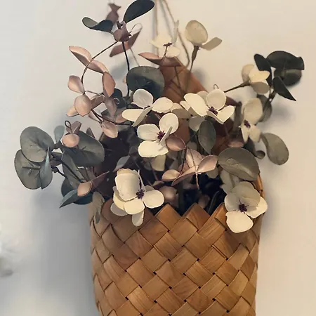 Feriehus Revliving Haus Clara Am Berg Mit Kleinem Garten