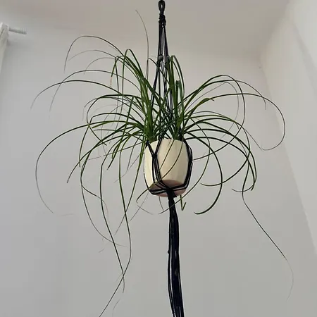 Revliving Haus Clara Am Berg Mit Kleinem Garten Prázdninový dům *
