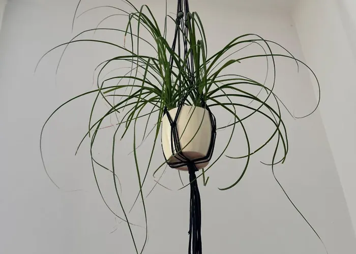 Revliving Haus Clara Am Berg Mit Kleinem Garten Сasa de vacaciones *